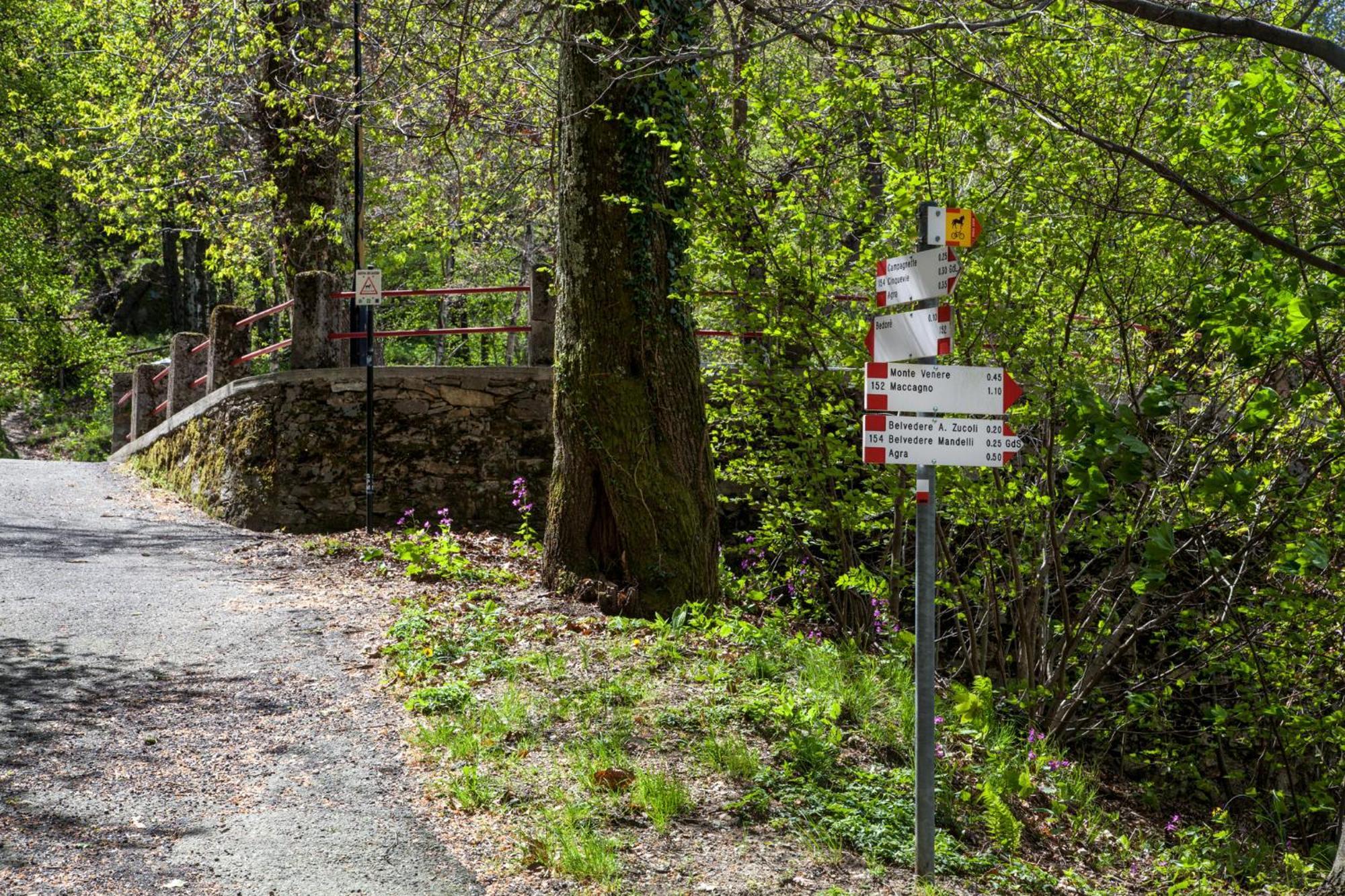 Casa Del Borgo "Aria & Acqua" Sul Lago Maggiore Maccagno Bagian luar foto